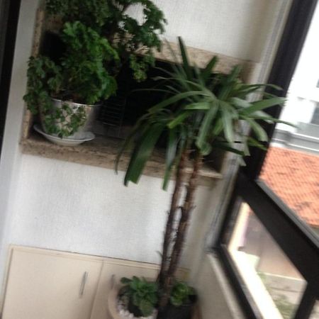 Appartamento Jurere Florianópolis Esterno foto